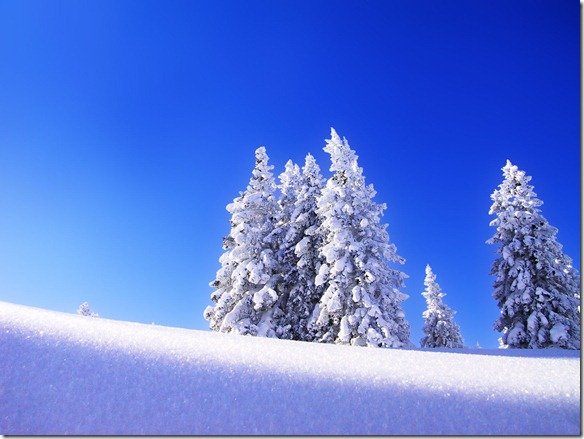 beauty-of-winter(www.TheWallpapers.org)